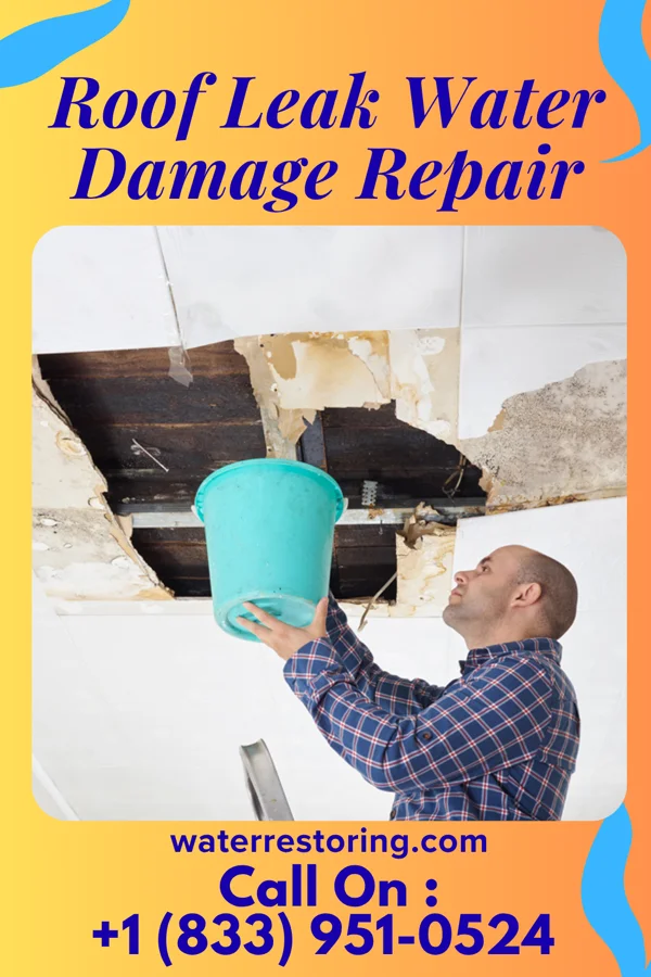 Roof Leak Water Damage Repair in Homestead Base, FL